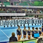 ...................................... Sembra impossibile finchè non viene fatto:in onore di Nelson Mandela cui è dedicato il complesso del Mandela Forum di Firenze